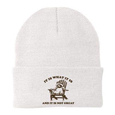 It Is What It Is And It Is Not Great Funny Raccoon Knit Cap Winter Beanie