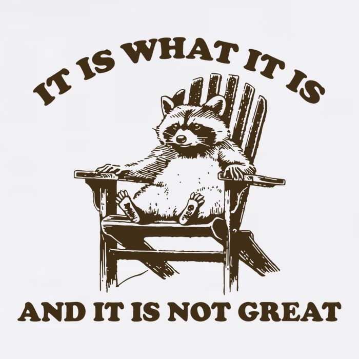It Is What It Is And It Is Not Great Funny Raccoon Mousepad
