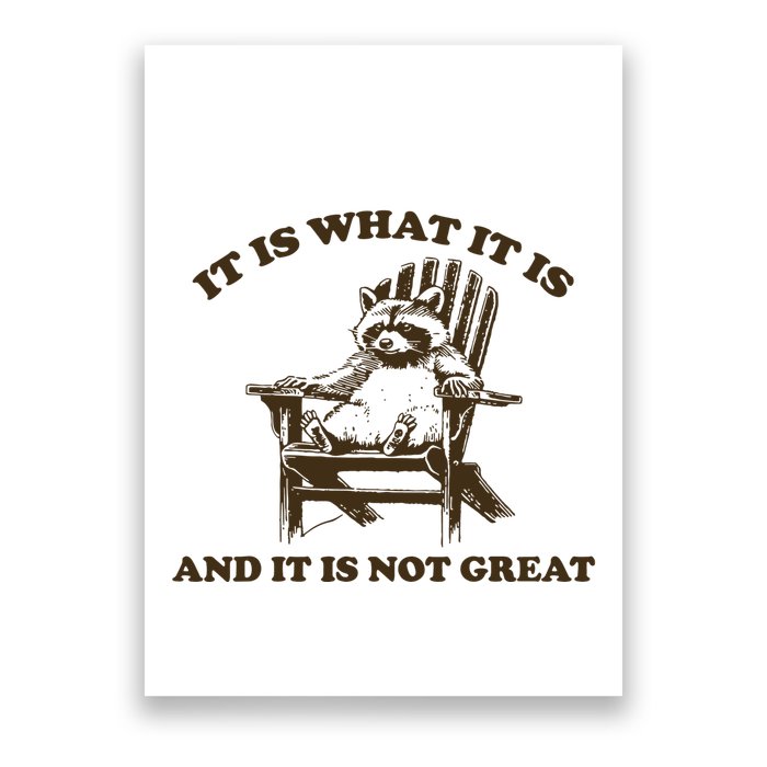 It Is What It Is And It Is Not Great Funny Raccoon Poster