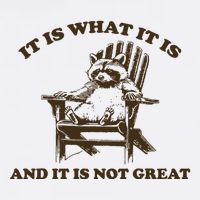 It Is What It Is And It Is Not Great Funny Raccoon Poster
