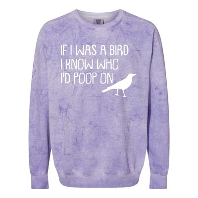 If I Was A Bird Colorblast Crewneck Sweatshirt