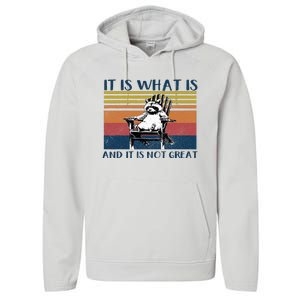 It Is What It Is And It Is Not Great Raccoon Performance Fleece Hoodie