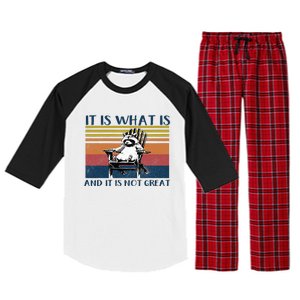 It Is What It Is And It Is Not Great Raccoon Raglan Sleeve Pajama Set