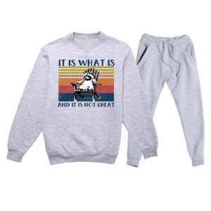 It Is What It Is And It Is Not Great Raccoon Premium Crewneck Sweatsuit Set