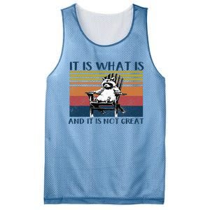 It Is What It Is And It Is Not Great Raccoon Mesh Reversible Basketball Jersey Tank