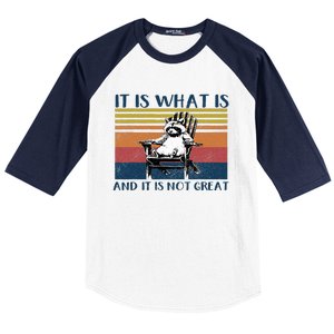 It Is What It Is And It Is Not Great Raccoon Baseball Sleeve Shirt