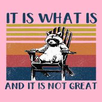 It Is What It Is And It Is Not Great Raccoon T-Shirt