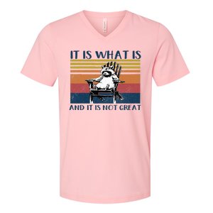 It Is What It Is And It Is Not Great Raccoon V-Neck T-Shirt