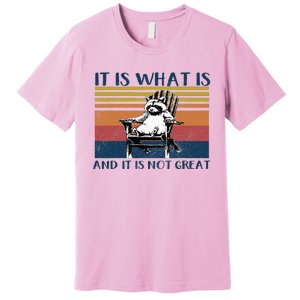 It Is What It Is And It Is Not Great Raccoon Premium T-Shirt