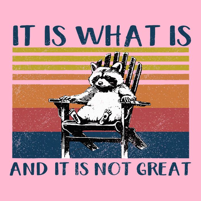 It Is What It Is And It Is Not Great Raccoon Baby Bodysuit