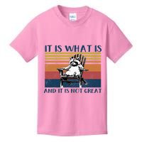 It Is What It Is And It Is Not Great Raccoon Kids T-Shirt