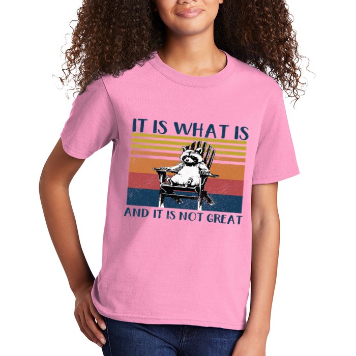 It Is What It Is And It Is Not Great Raccoon Kids T-Shirt