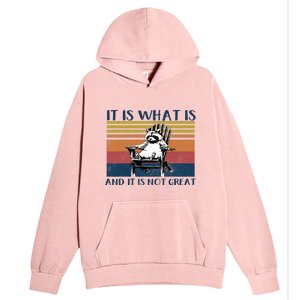 It Is What It Is And It Is Not Great Raccoon Urban Pullover Hoodie