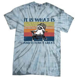 It Is What It Is And It Is Not Great Raccoon Tie-Dye T-Shirt