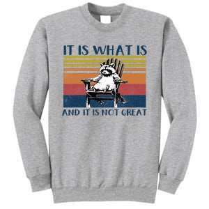 It Is What It Is And It Is Not Great Raccoon Sweatshirt