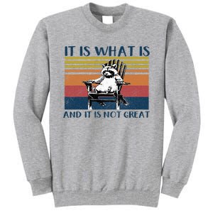 It Is What It Is And It Is Not Great Raccoon Tall Sweatshirt