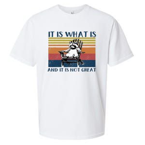 It Is What It Is And It Is Not Great Raccoon Sueded Cloud Jersey T-Shirt