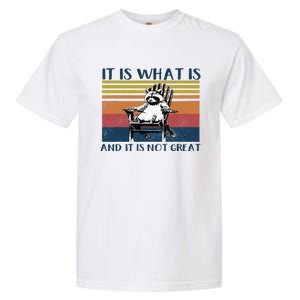 It Is What It Is And It Is Not Great Raccoon Garment-Dyed Heavyweight T-Shirt