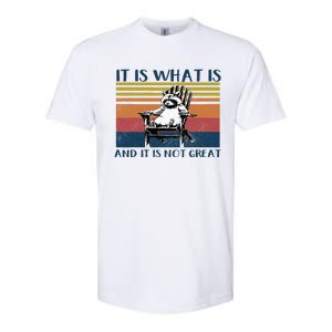 It Is What It Is And It Is Not Great Raccoon Softstyle CVC T-Shirt