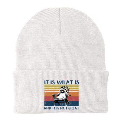It Is What It Is And It Is Not Great Raccoon Knit Cap Winter Beanie