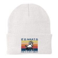 It Is What It Is And It Is Not Great Raccoon Knit Cap Winter Beanie