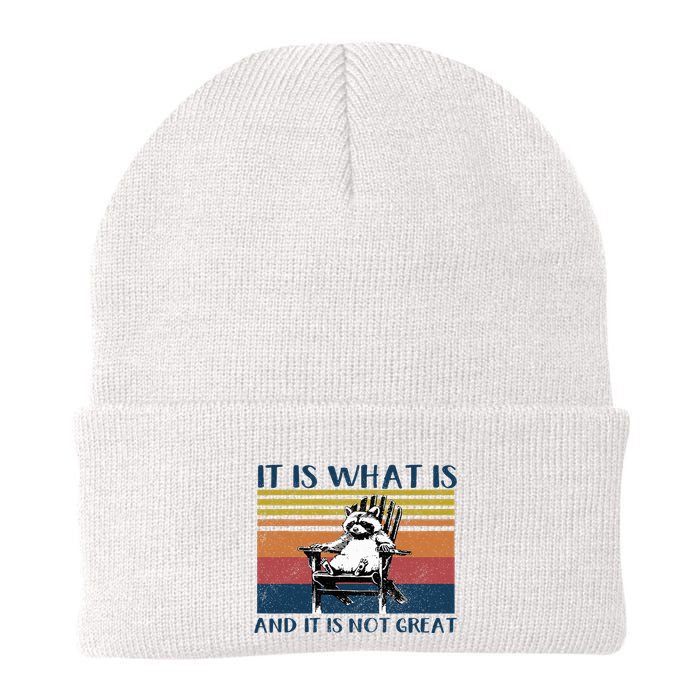 It Is What It Is And It Is Not Great Raccoon Knit Cap Winter Beanie