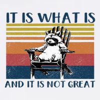 It Is What It Is And It Is Not Great Raccoon Knit Cap Winter Beanie