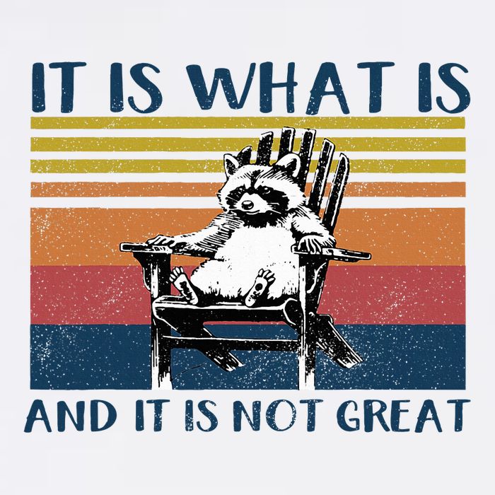It Is What It Is And It Is Not Great Raccoon Knit Cap Winter Beanie