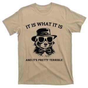 It Is What It Is And ItS Pretty Terrible T-Shirt