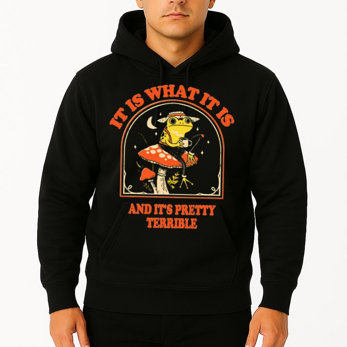 It Is What It Is And ItS Pretty Terrible Hoodie