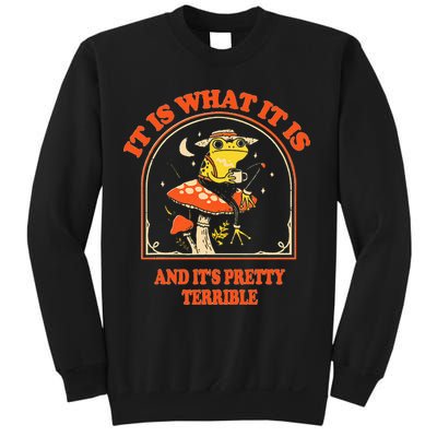 It Is What It Is And ItS Pretty Terrible Sweatshirt