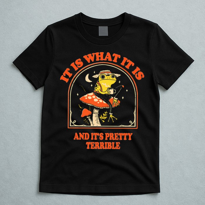It Is What It Is And ItS Pretty Terrible T-Shirt