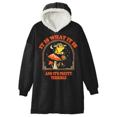 It Is What It Is And ItS Pretty Terrible Hooded Wearable Blanket