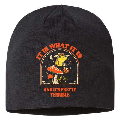 It Is What It Is And ItS Pretty Terrible Sustainable Beanie