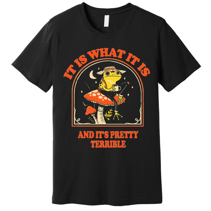 It Is What It Is And ItS Pretty Terrible Premium T-Shirt