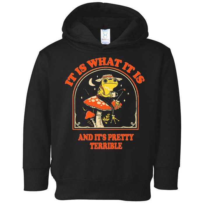 It Is What It Is And ItS Pretty Terrible Toddler Hoodie