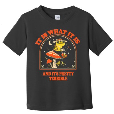 It Is What It Is And ItS Pretty Terrible Toddler T-Shirt