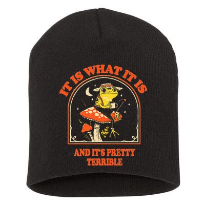 It Is What It Is And ItS Pretty Terrible Short Acrylic Beanie