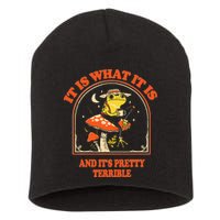 It Is What It Is And ItS Pretty Terrible Short Acrylic Beanie