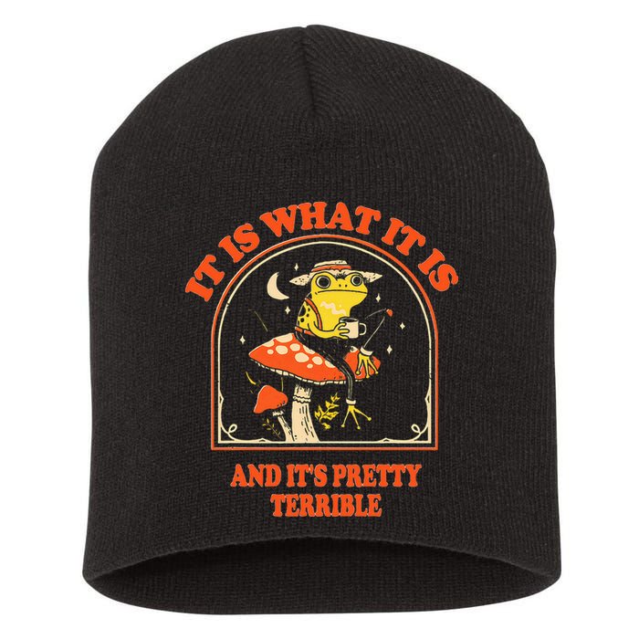 It Is What It Is And ItS Pretty Terrible Short Acrylic Beanie