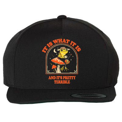 It Is What It Is And ItS Pretty Terrible Wool Snapback Cap