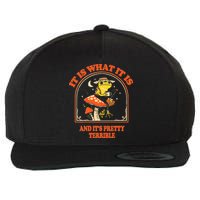 It Is What It Is And ItS Pretty Terrible Wool Snapback Cap