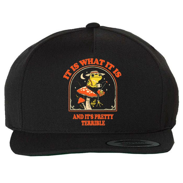 It Is What It Is And ItS Pretty Terrible Wool Snapback Cap
