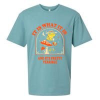 It Is What It Is And ItS Pretty Terrible Sueded Cloud Jersey T-Shirt