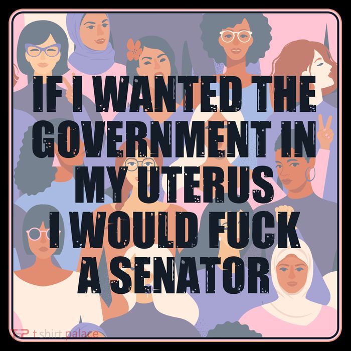 If I Wanted The Government In My Uterus I Would Fuck A Senator Mug