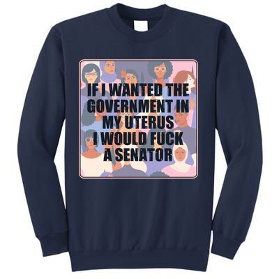 If I Wanted The Government In My Uterus I Would Fuck A Senator Sweatshirt