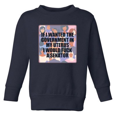 If I Wanted The Government In My Uterus I Would Fuck A Senator Toddler Sweatshirt