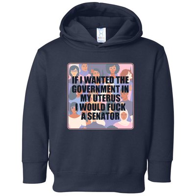 If I Wanted The Government In My Uterus I Would Fuck A Senator Toddler Hoodie