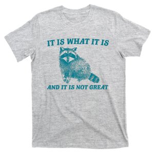 It Is What It Is And It Is Not Great Raccoon T-Shirt