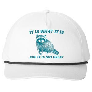 It Is What It Is And It Is Not Great Raccoon Snapback Five-Panel Rope Hat